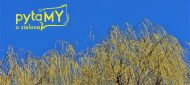 20220327_121821_zolty_przes