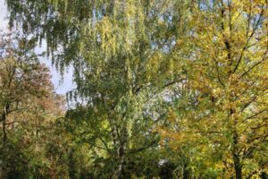 CAN_8325_58 CAN_8325_58