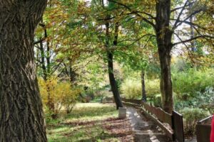 CAN_8342_75 CAN_8342_75