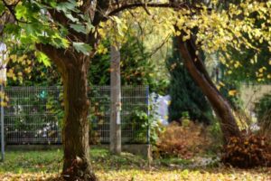 CAN_8346_79 CAN_8346_79