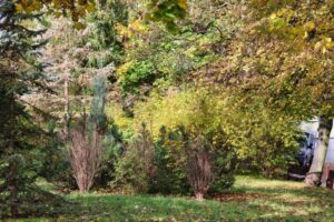 CAN_8354_87 CAN_8354_87