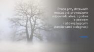 PracePrzyDrzewach