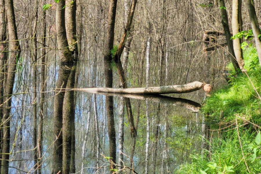 20260524_113620
